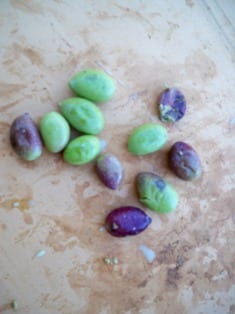 Smashed Olives